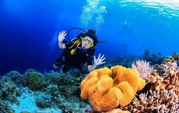 甘肃省2024年拟录用选调生结果查询等有关事项的公告