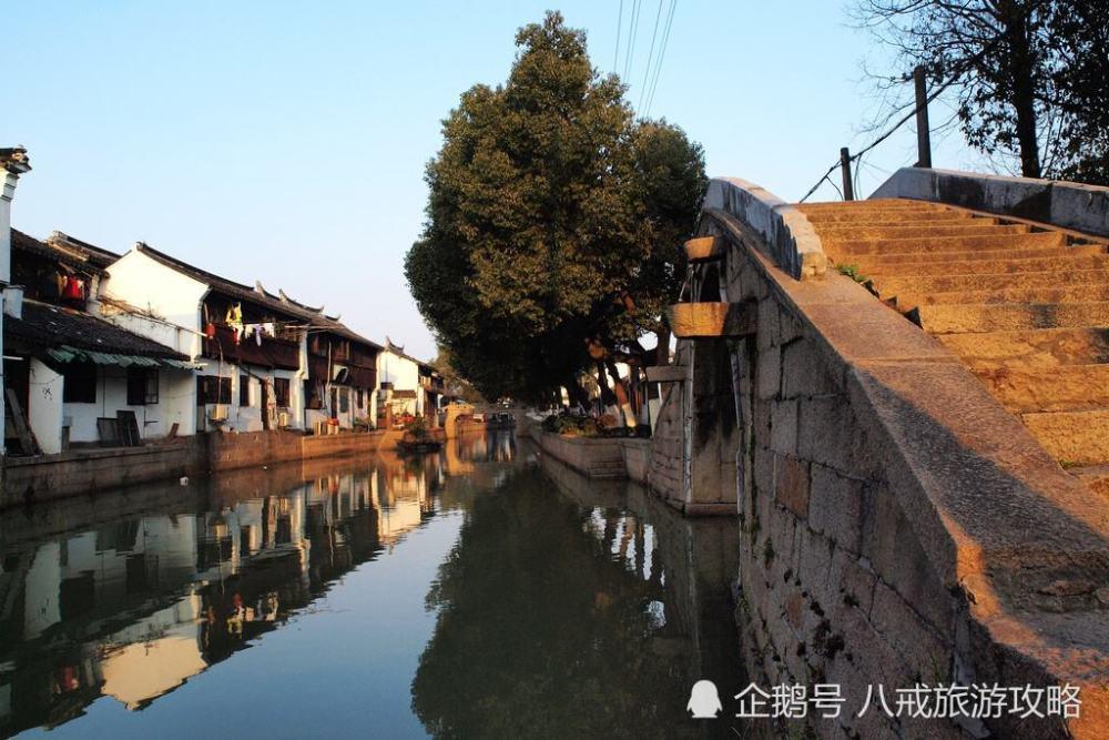 新春走基层|一颗青菜头的“新”路历程